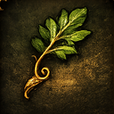 Druid